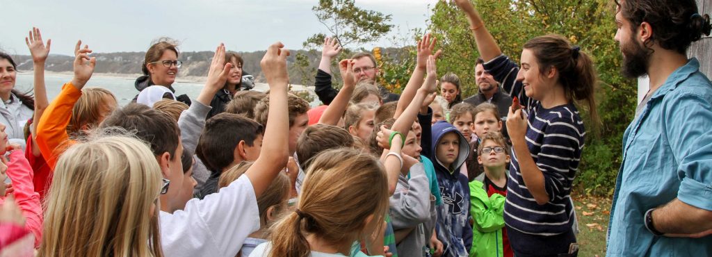 Students raising hands