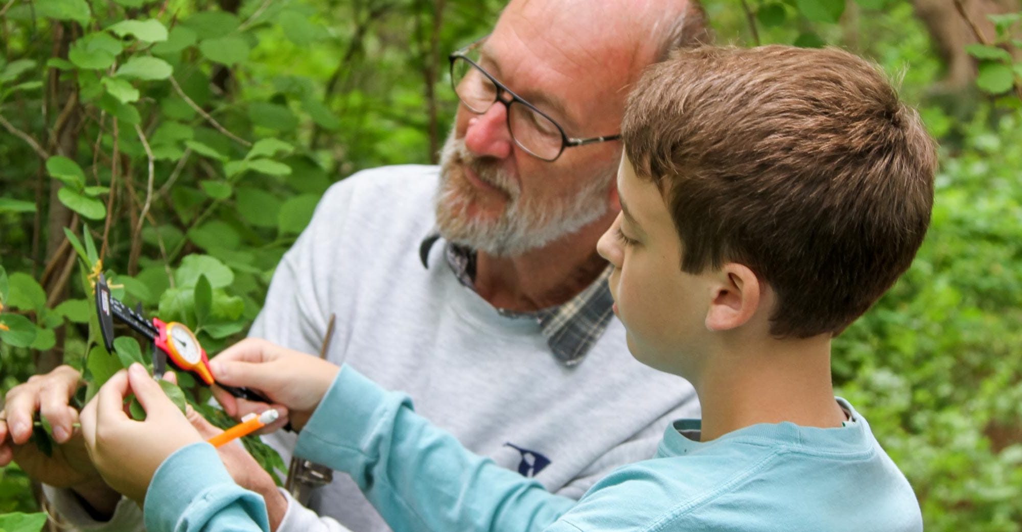 Young boy and man measuring in forest