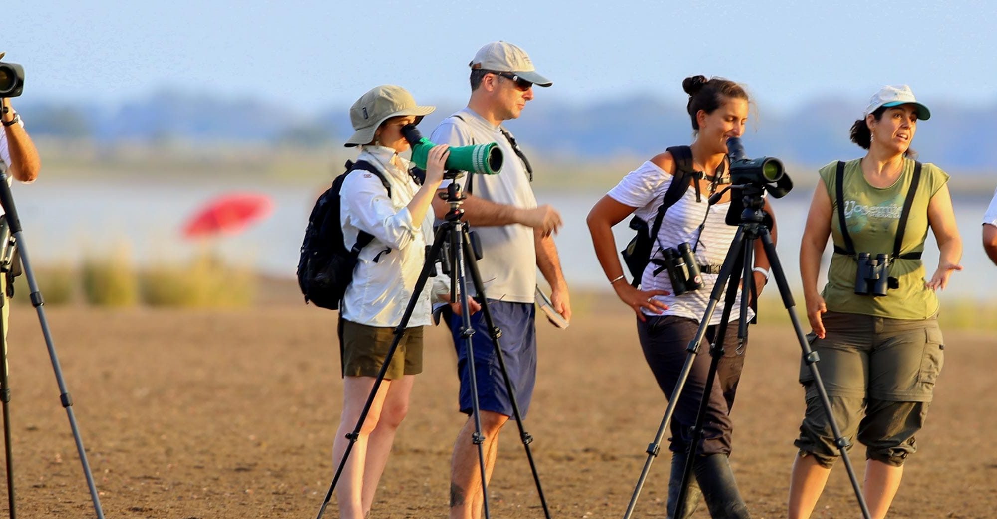 Staff with cameras looking for Shorebirds