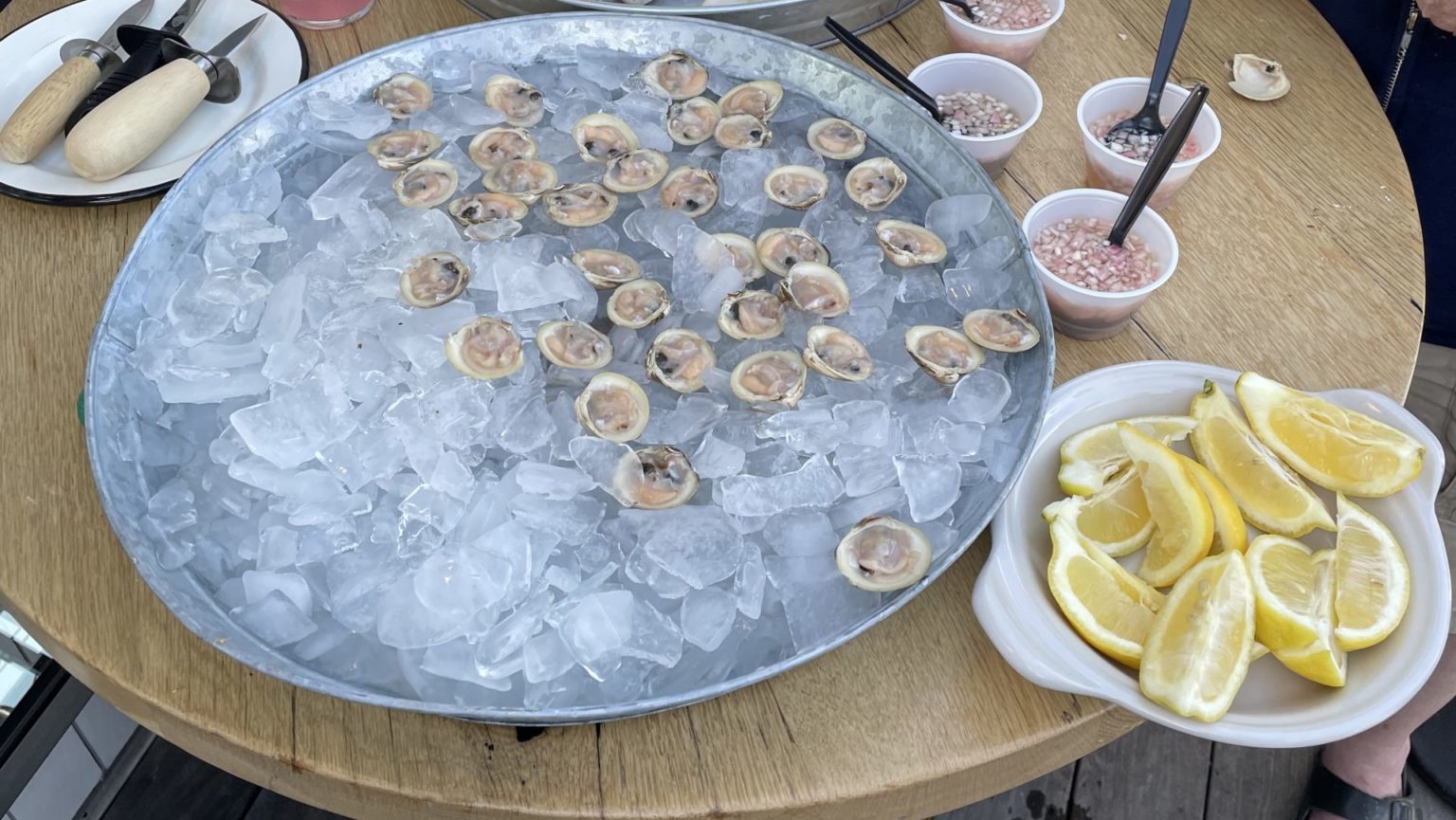 Could quahogs, resilient to Maine’s rapidlychanging waters, soon be as