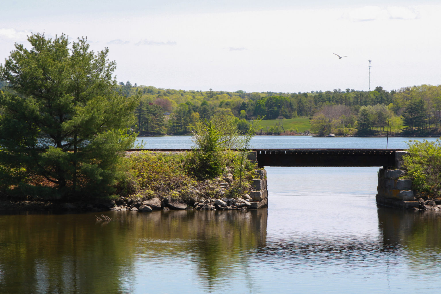 This website will help build collaboration around river herring