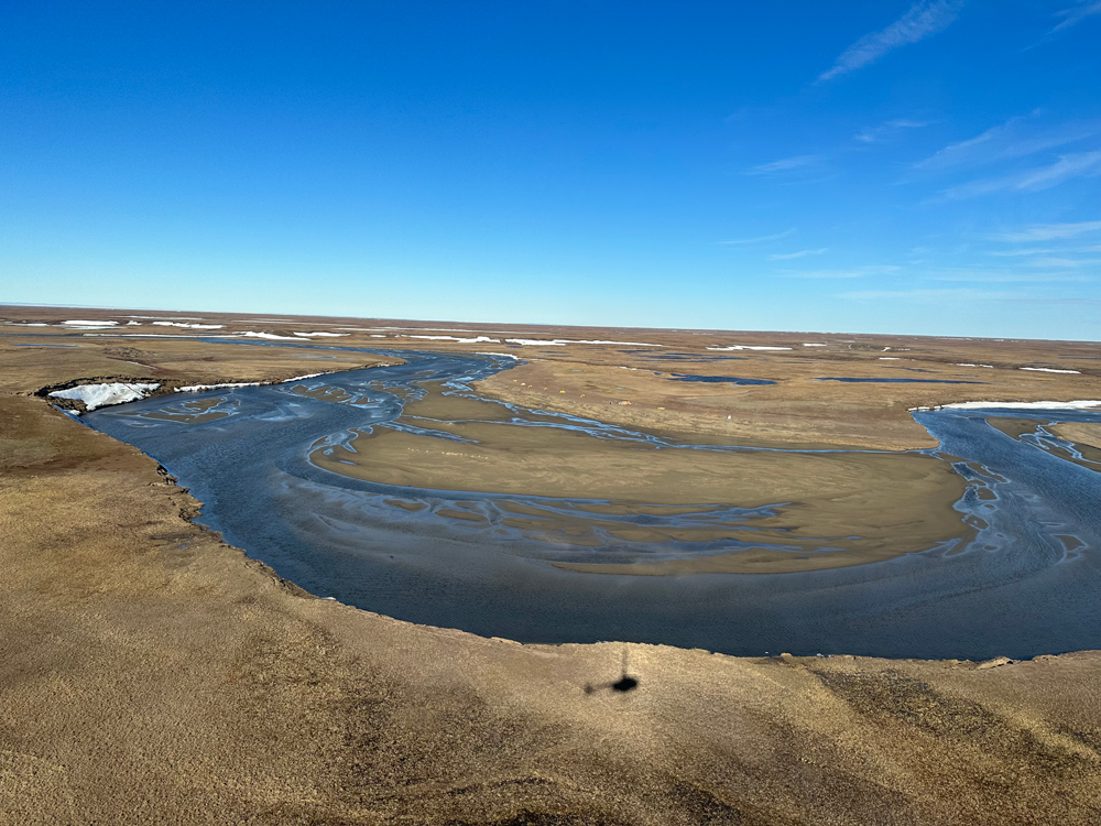 The Teshekpuk Lake Special Area in the National Petroleum Reserve, Alaska