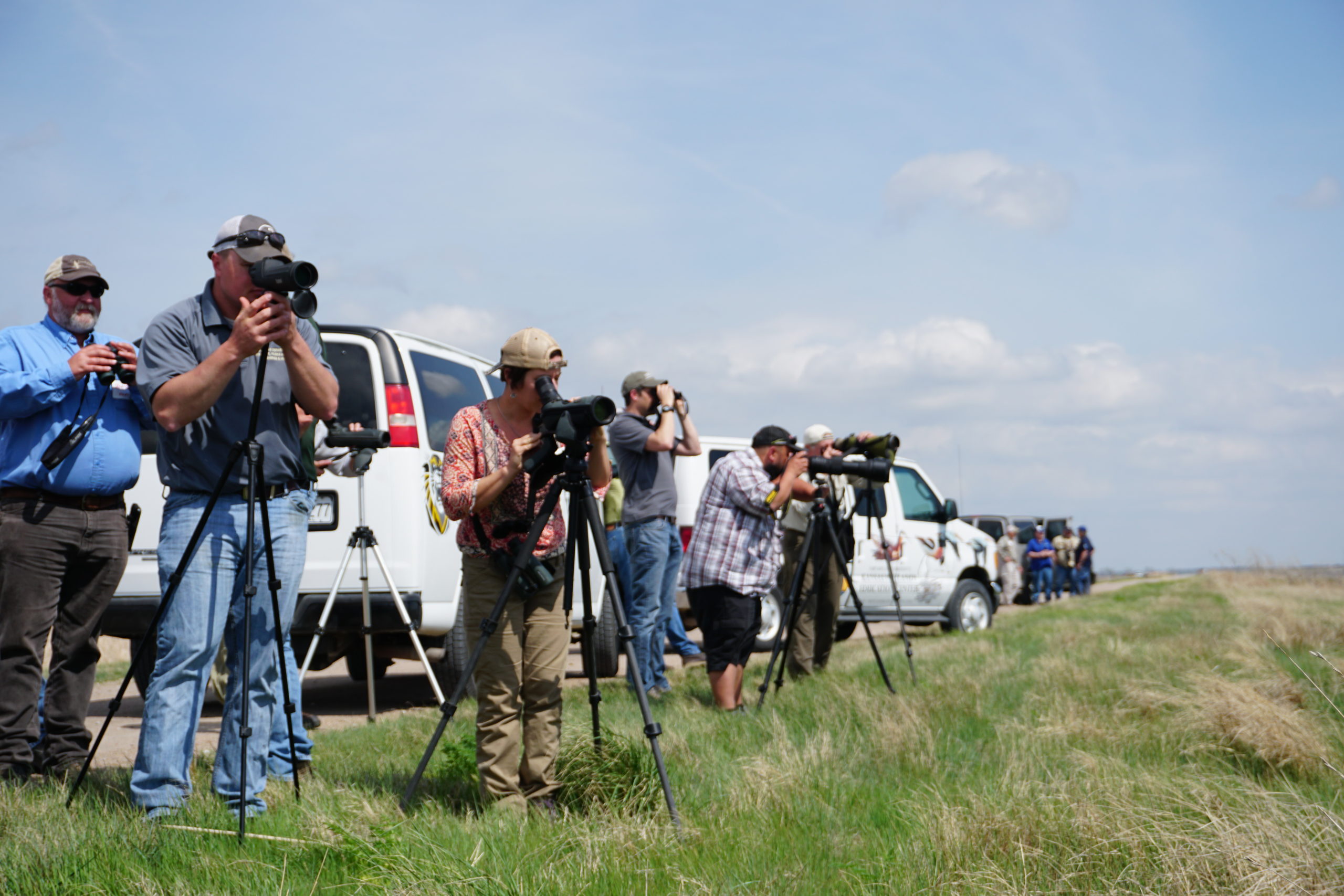 Shorebird surveying at Cheyenne Bottoms, Kansas (a WHSRN site).